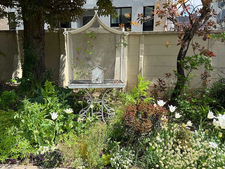 小笠原伯爵邸の庭