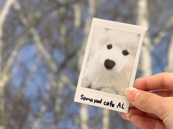 500円／1枚 ※キャッシュレス決済のみ