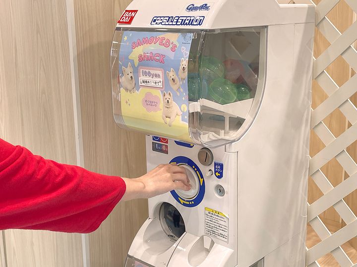 100円／1回 ※現金のみ