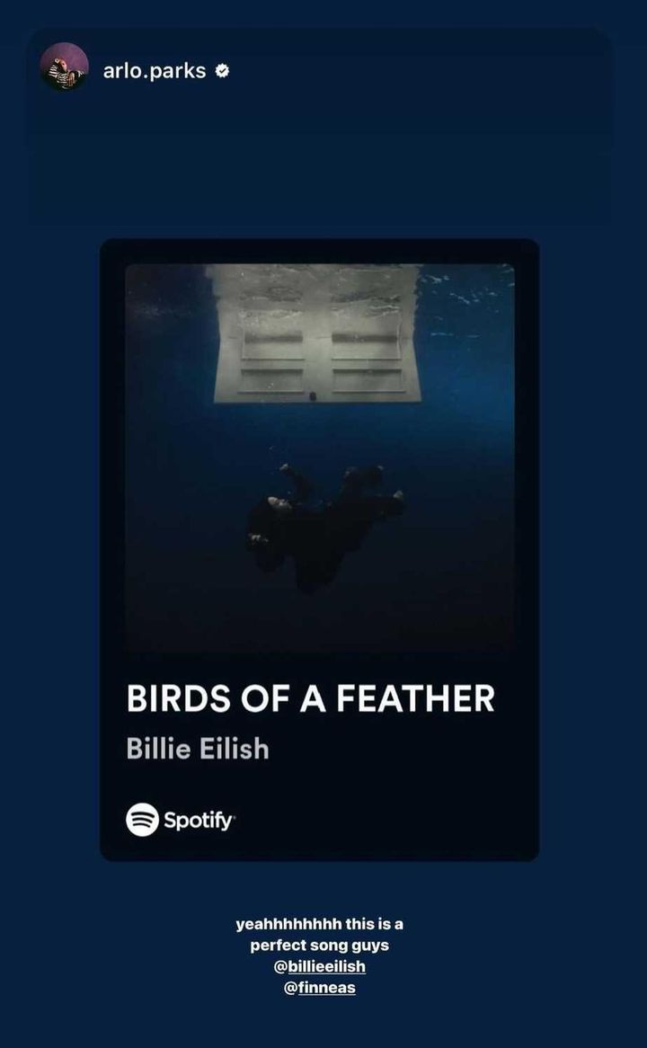 画像8: ビリー・アイリッシュがニューアルバム『Hit Me Hard andSoft』をリリース