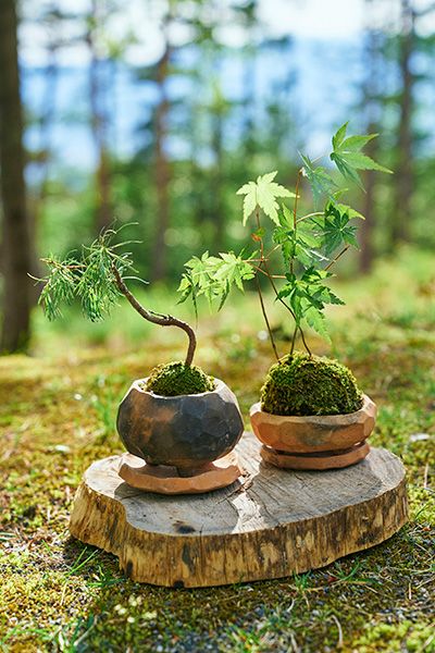 これなんだと思う？キャンプの焚き火を使った面白いギア作りとは？