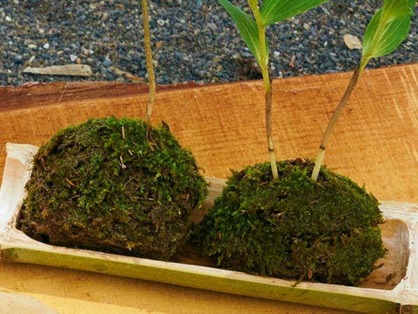 これなんだと思う？キャンプの焚き火を使った面白いギア作りとは？