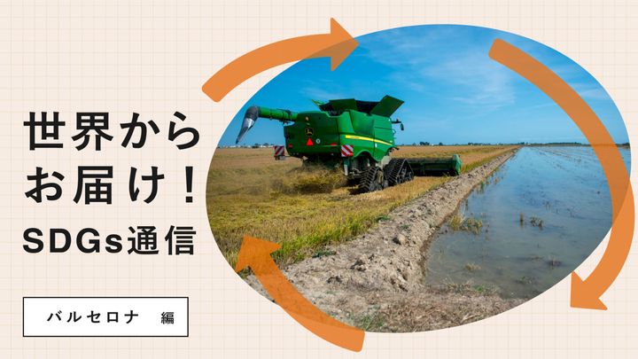 世界からお届け！SDGs通信 バルセロナ編。米のもみ殻で車の部品を作る自動車メーカー〈SEAT〉のプロジェクト