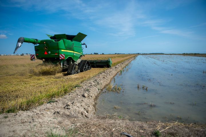 カタルーニャ州タラゴナ県の田園風景