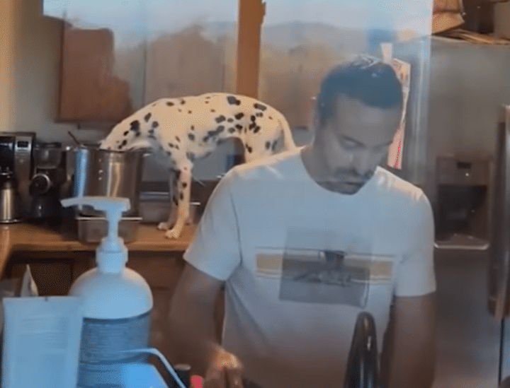 気づいて！ 背後で犬さんが 気配を消してイタズラ開始！