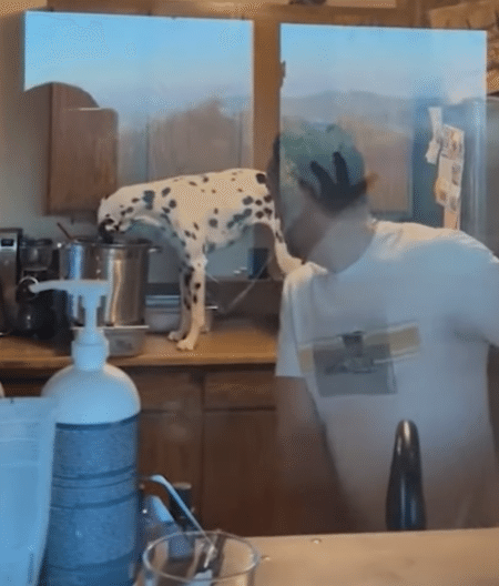 気づいて！ 背後で犬さんが 気配を消してイタズラ開始！