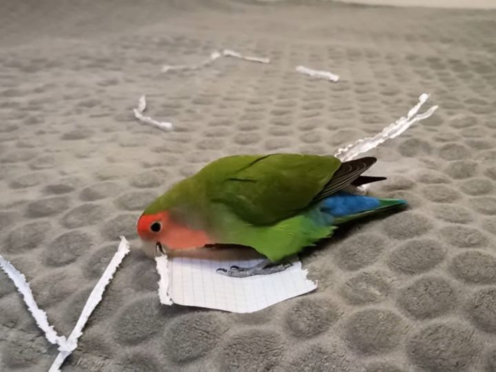 見よ！ この技術力！