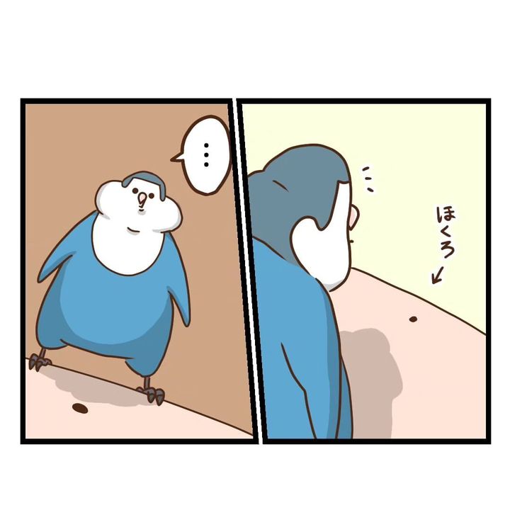 コザクラインコのメリーちゃんについて描いた漫画のカット（タクセニョリータさん提供）