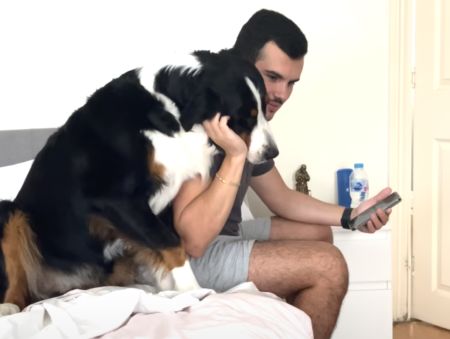 もうっ！スマホばっかり見ちゃってさ(怒) かまってほしい犬さんが可愛い。