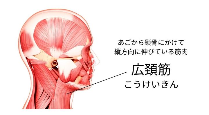 老けた首元を解消！40・50代の首もとが若返る方法5つ