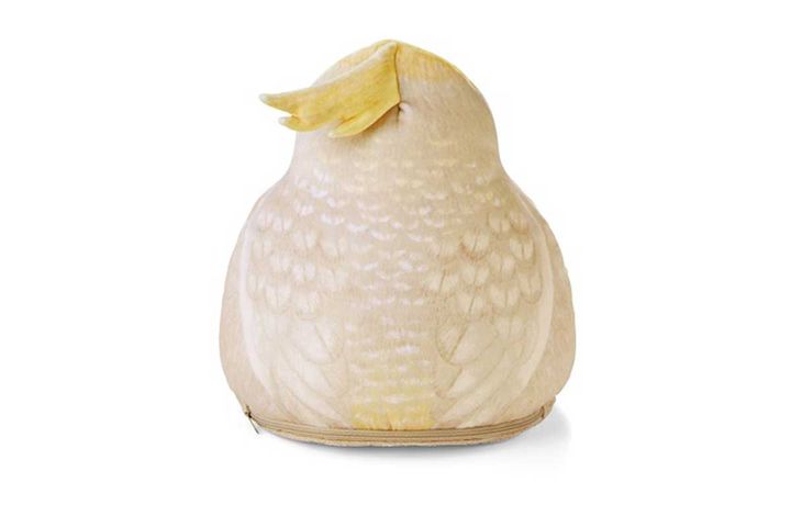 オカメインコの後ろ姿