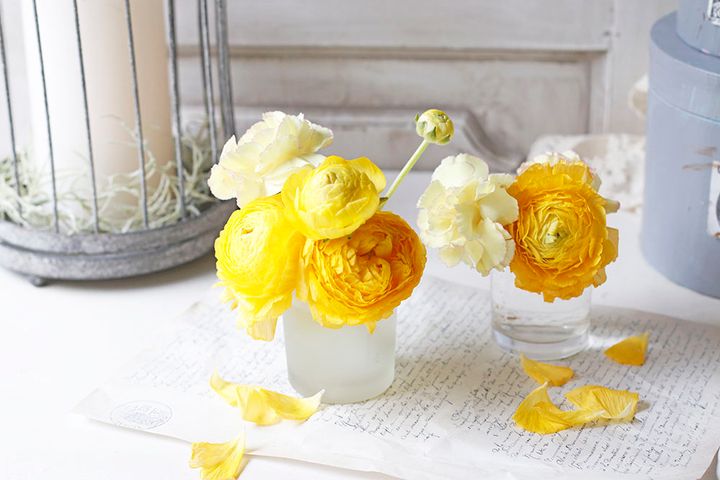 ラナンキュラスとカーネーション