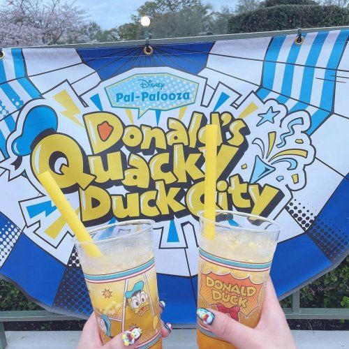 東京ディズニーランド_パルパルーザ_ドナルドダック_14