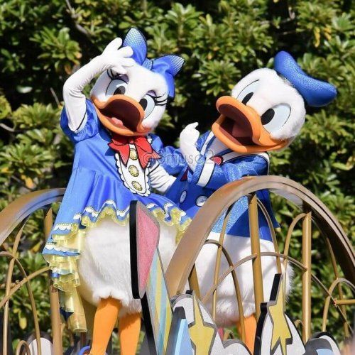 東京ディズニーランド_パルパルーザ_ドナルドダック_17