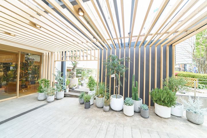 「アクタス」の入り口に入る手前で直接テラス側から入ることができる