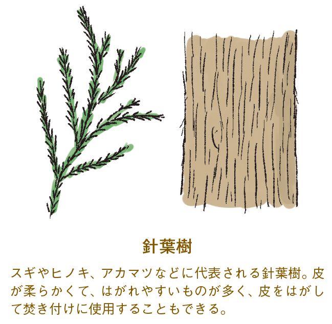 意外と知らない！焚き火のコツは？薪の選び方や火おこしの方法を徹底解説！