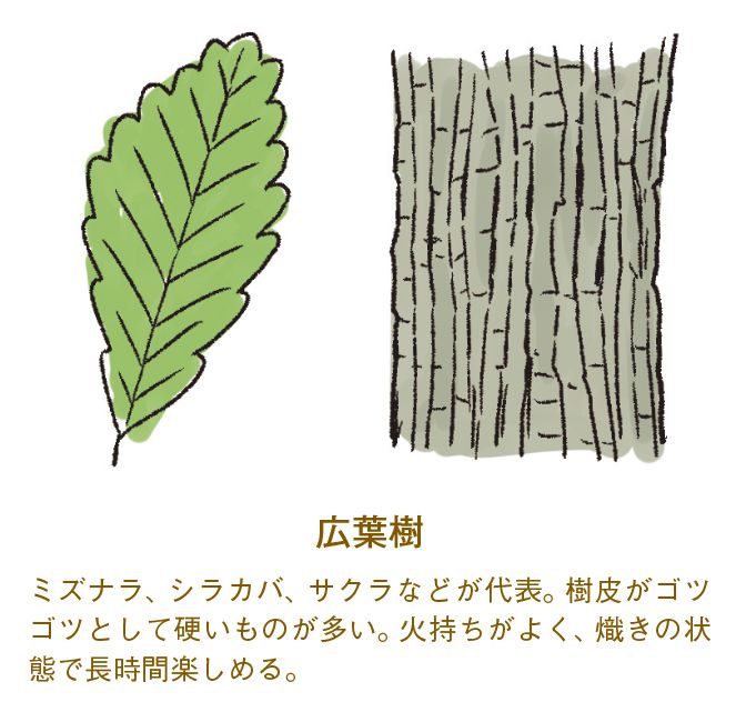 意外と知らない！焚き火のコツは？薪の選び方や火おこしの方法を徹底解説！