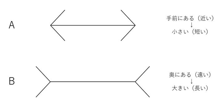 図1：ミュラー・リヤー錯視