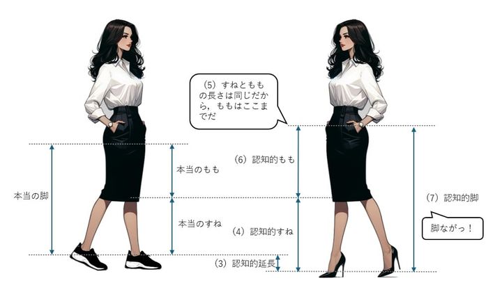 図3：脚の長さを勘違いする仕組み
