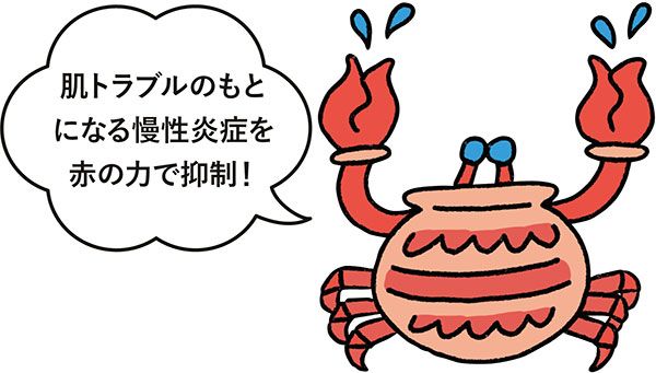 アスタキサンチン イラスト 「肌トラブルのもとになる慢性炎症を赤の力で抑制！」