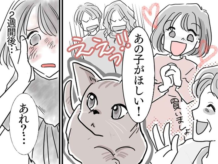 画像: 孫「あのネコ買って！」義母「いいよ♡」【親の意見も聞かず】孫に買い与えた義母 → その結果──？