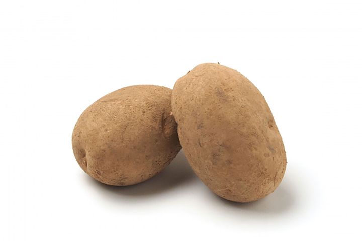 ▲収穫後に貯蔵した一般的なじゃがいも（熟成じゃがいも）は皮の色が濃く、厚め。サイズも大きめなものが多い。