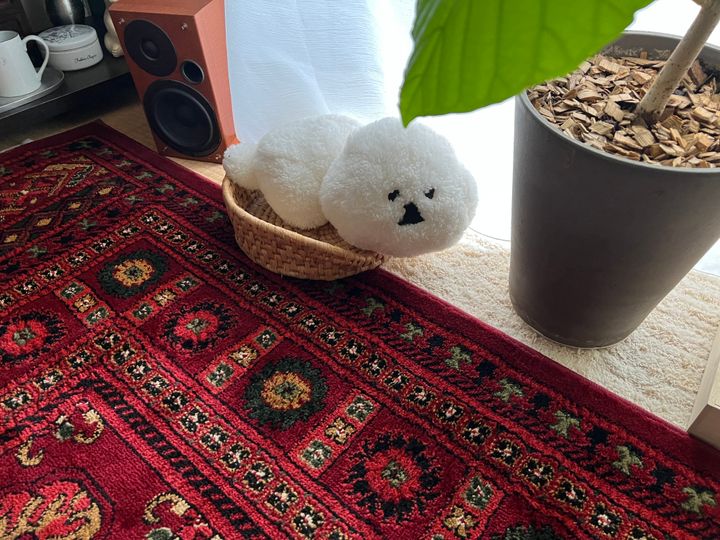 【築50年団地×一人暮らし】映画「かもめ食堂」がお手本のレトロなキッチンがおしゃれ【FUDGE おしゃれな人のルームツアー vol.7】