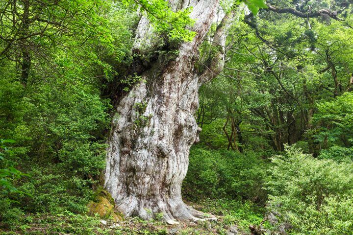 絶景を探しに…行ってみたい島10選