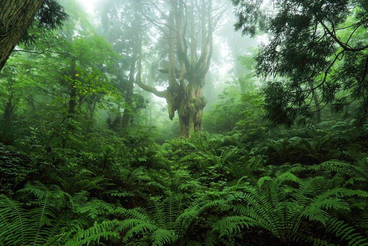 絶景を探しに…行ってみたい島10選
