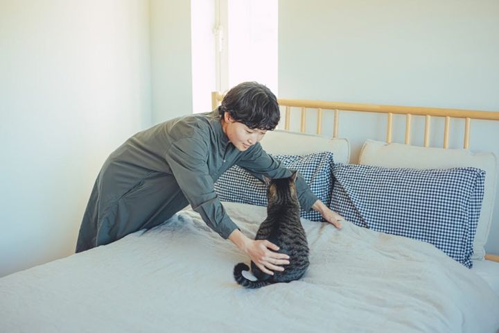 猫たちとの暮らしも大切に