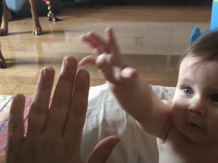 赤ちゃんとハイタッチしようとしたら、得意げに愛犬が手を伸ばしてきて