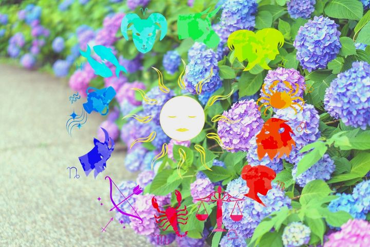 2024年6月、12星座ごとの運勢と開運アドバイス