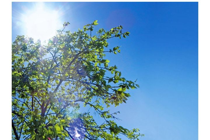 「芒種」ってどんな季節？