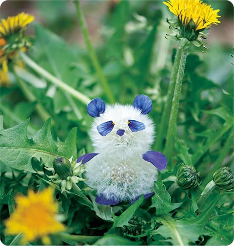 タンポポの綿毛が変身！ ビンに入れて贈り物にも◎「綿毛パンダ」の作り方の画像1