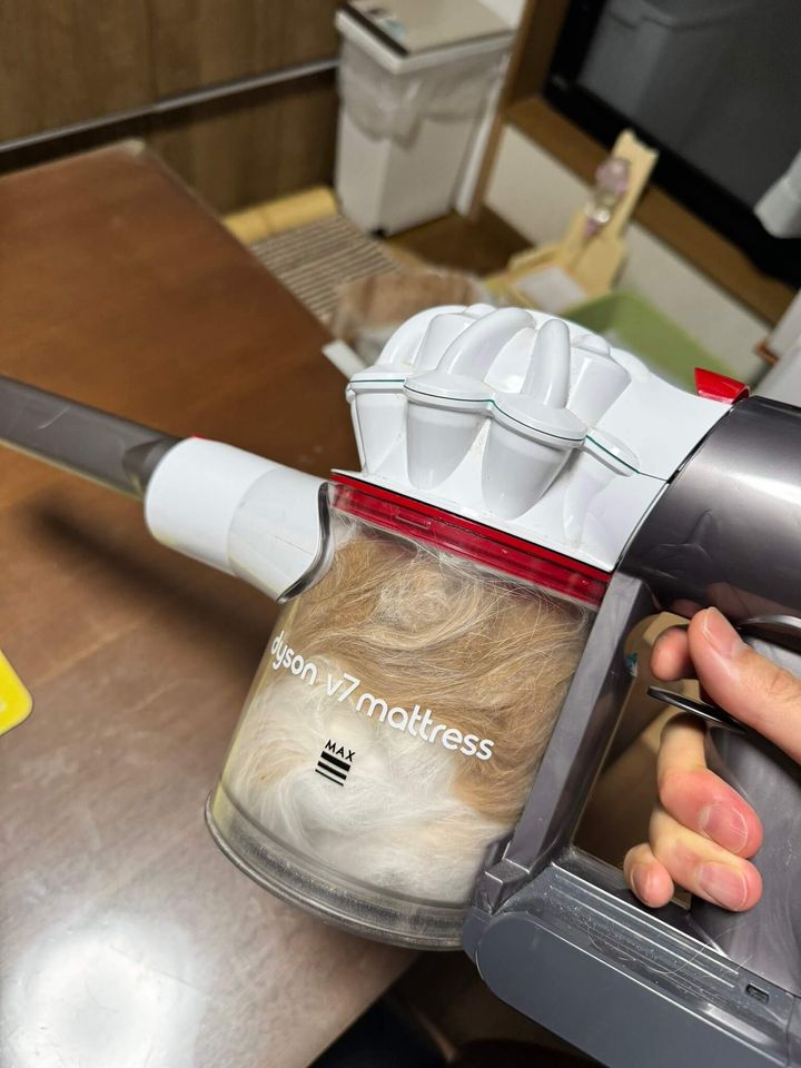 掃除機の中で再構築された猫の抜け毛