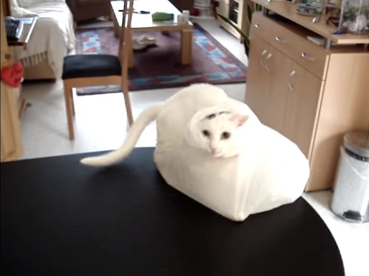 どうなってこうなった！？