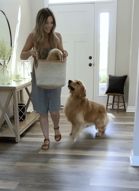 初めましてパパ！ ムスコ子犬と初対面♪