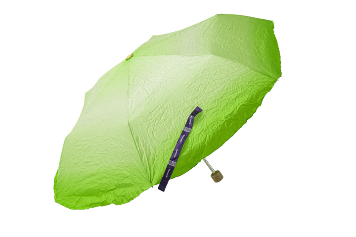 〈Tokyo noble〉の折り畳み傘「べジタブレラ」