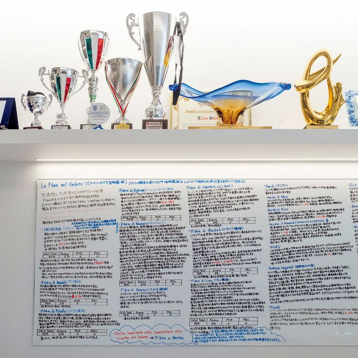 獲得したトロフィーの数々