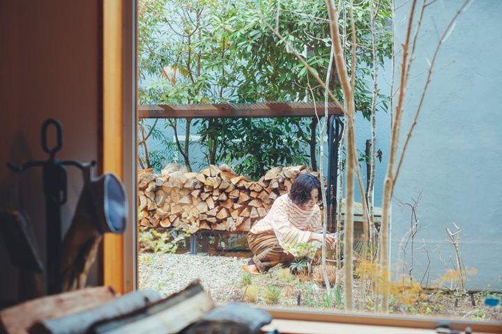 春を待つ植物たち