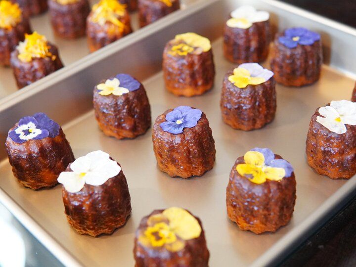 アジサイの見頃を迎えた北鎌倉さんぽ♪古刹の参拝やアジサイのスイーツを楽しむ一日