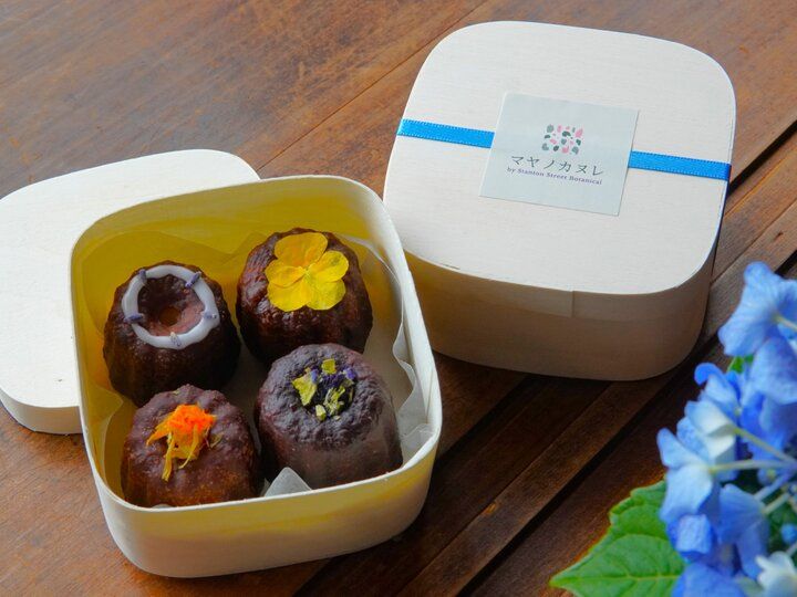 アジサイの見頃を迎えた北鎌倉さんぽ♪古刹の参拝やアジサイのスイーツを楽しむ一日