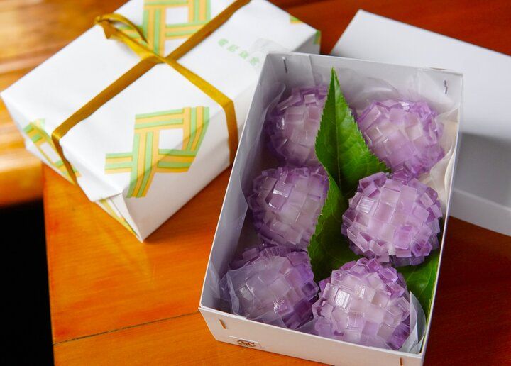 アジサイの見頃を迎えた北鎌倉さんぽ♪古刹の参拝やアジサイのスイーツを楽しむ一日