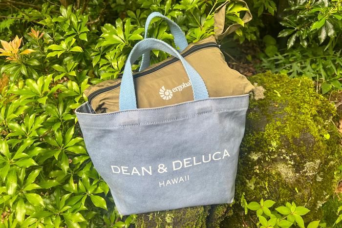 エルゴベビーAWAY