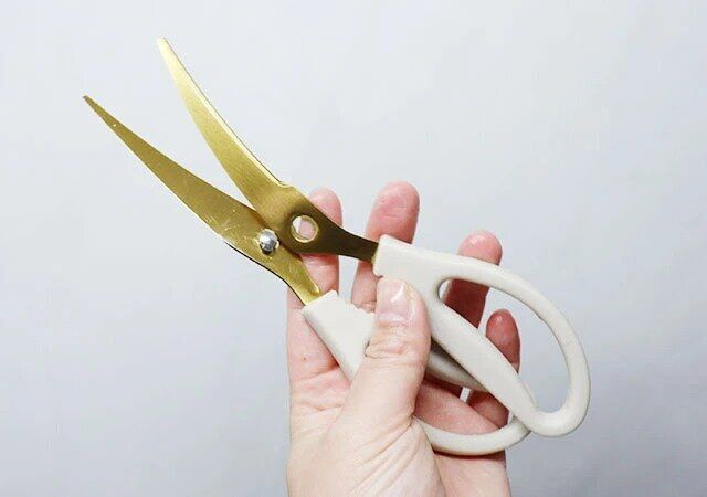 ダイソー カーブキッチンバサミ（チタンコーティング） 分解