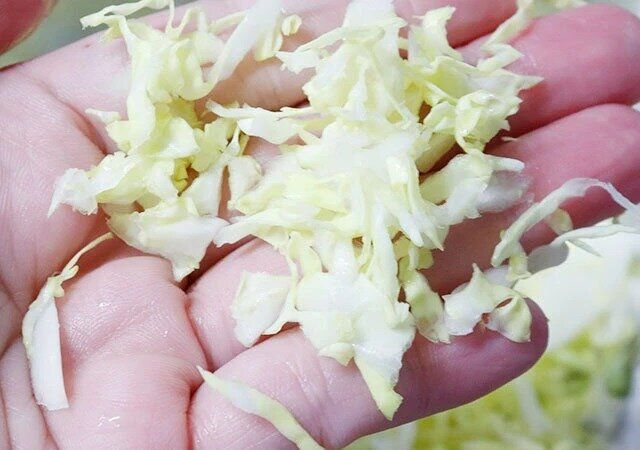 ダイソー キャベツピーラー（白） 仕上がり 千切りキャベツ