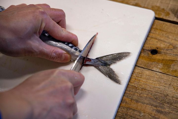 尾を切り落とす