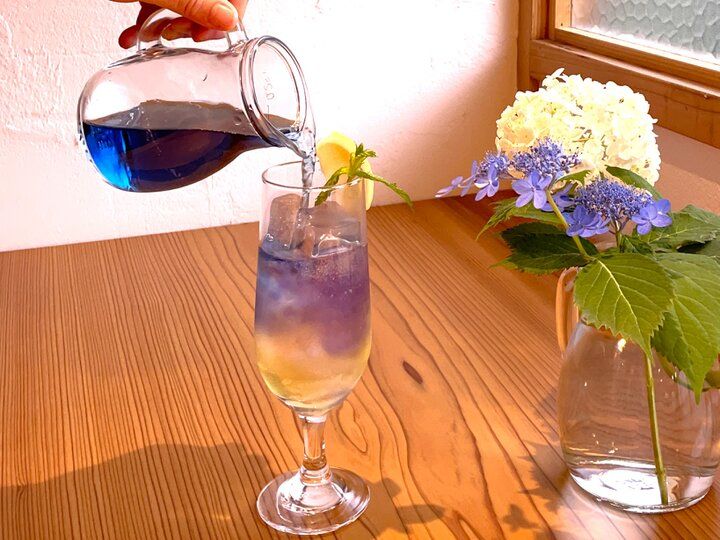 北鎌倉のアジサイ散歩とカフェめぐり♪深く澄んだ明月院ブルーが魅了する6月の古都