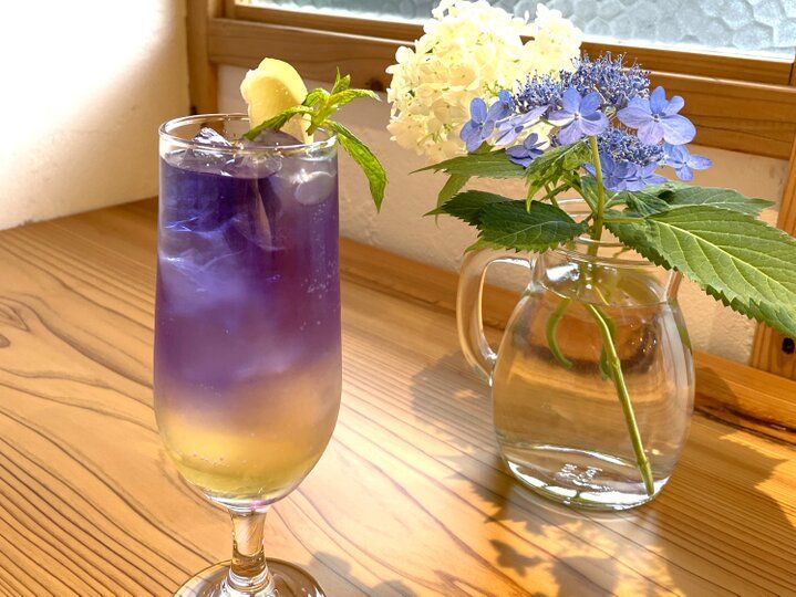 北鎌倉のアジサイ散歩とカフェめぐり♪深く澄んだ明月院ブルーが魅了する6月の古都