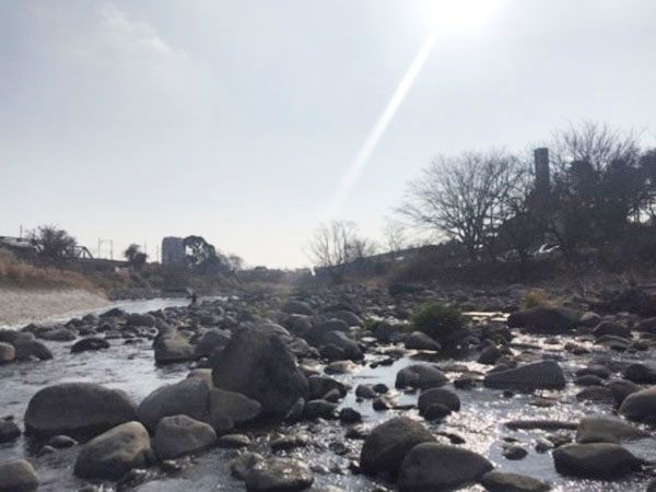 「釣り人が増えたら魚も増えた!?」その意外すぎる実態とは…？